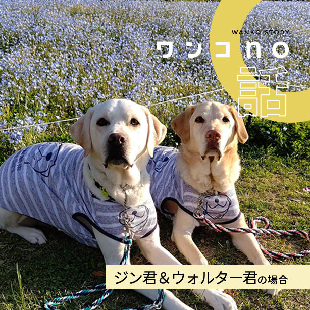 1年を仲良く分け合う、ジンくん＆ウォルターくん