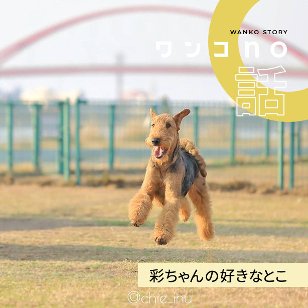 彩ちゃんの好きなとこ
