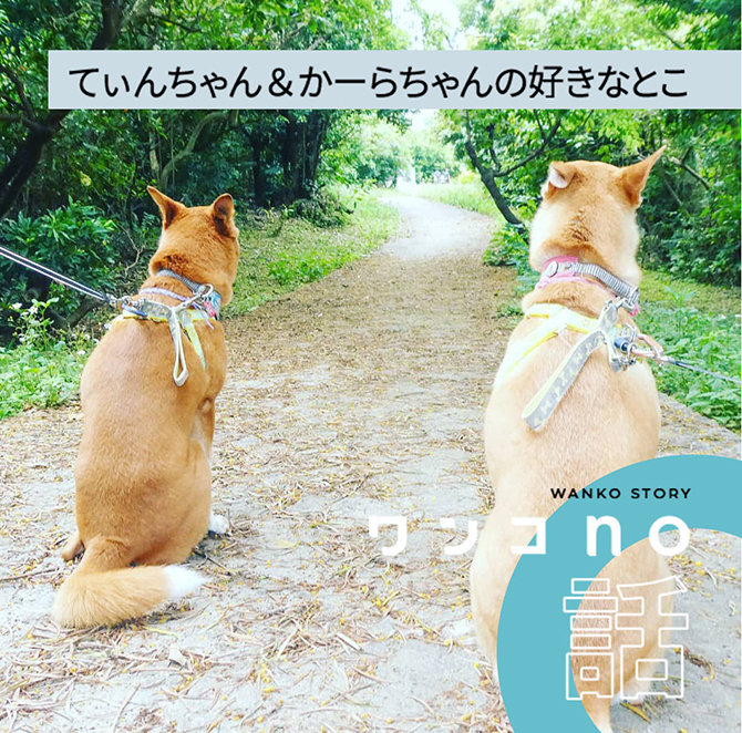 てぃんちゃん＆かーらちゃんの好きなとこ