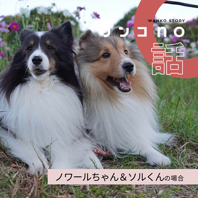 友達との時間は最高！でもそれより格別な時間は？