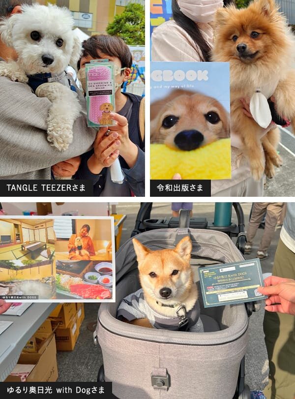 TANGLE TEEZER、令和出版、ゆるり奥日光 with Dog