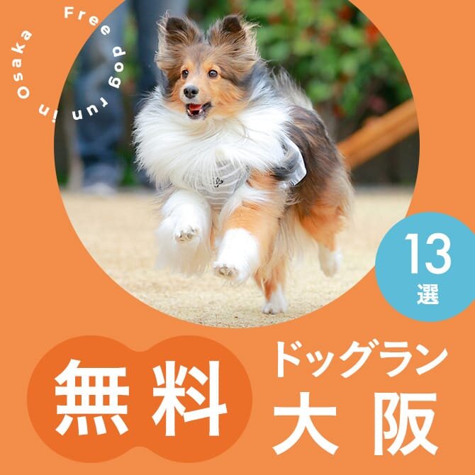 大阪の無料ドッグランまとめ一覧