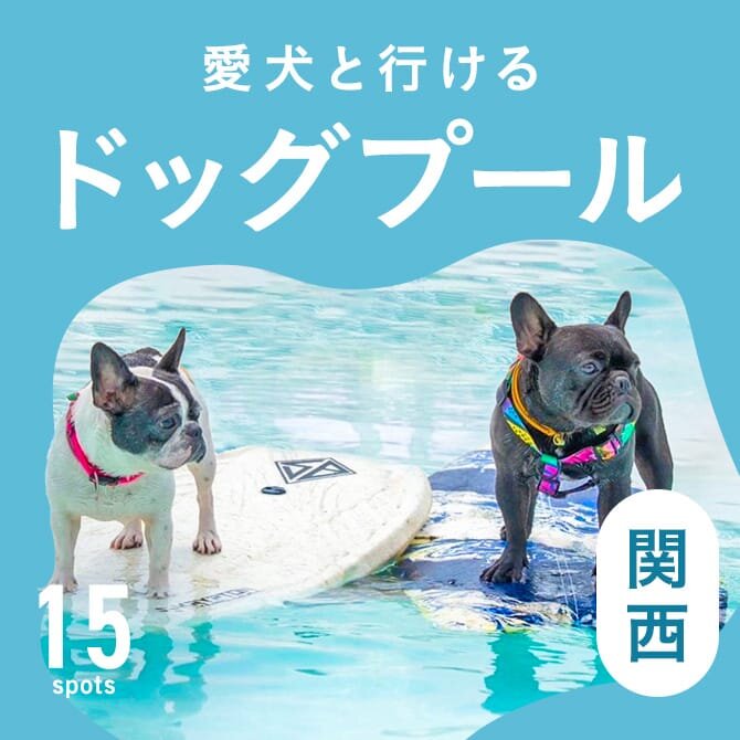 【関西犬プール】ドッグプールのあるおすすめ施設15選