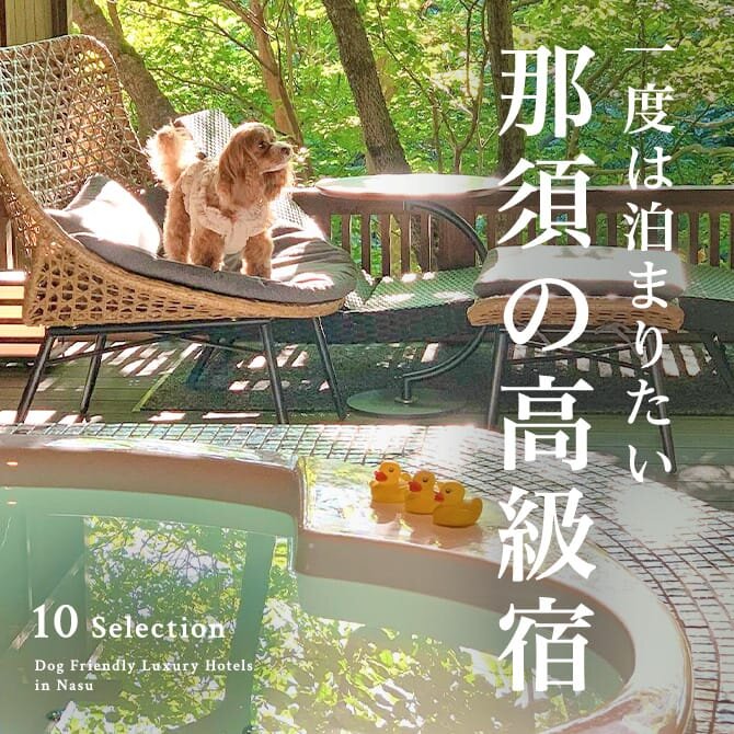 那須の犬と泊まれる高級宿｜高級ホテル・温泉宿一覧