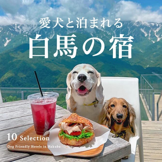 白馬のペットと泊まれる宿｜ホテル・コテージ一覧