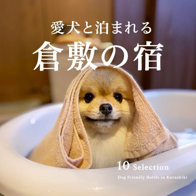 倉敷のペットと泊まれる宿｜ホテル・コテージ一覧