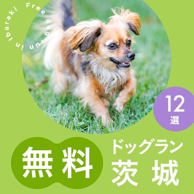 茨城の無料ドッグランまとめ一覧