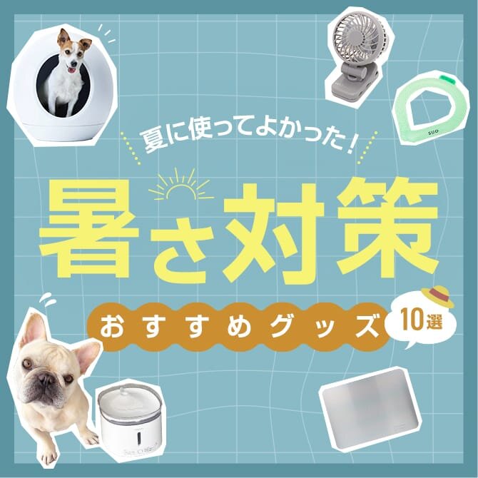 【犬の熱中症対策グッズ】犬の暑さ対策におすすめグッズ10選