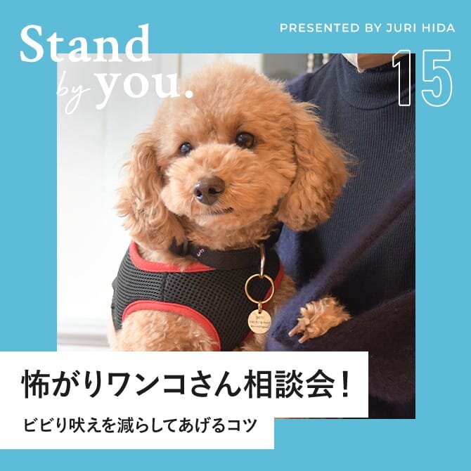 【ビビり吠え相談会】怖がりワンコさんのビビりからくる吠えを減らしてあげる方法