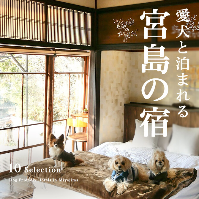 宮島のペットと泊まれる宿｜ホテル・コテージ一覧