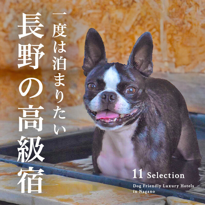 長野の犬と泊まれる高級宿｜高級ホテル・温泉宿一覧