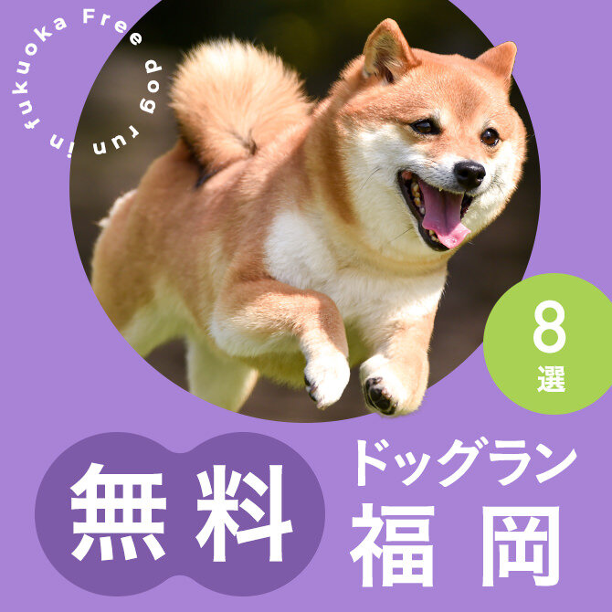 福岡の無料ドッグランまとめ一覧