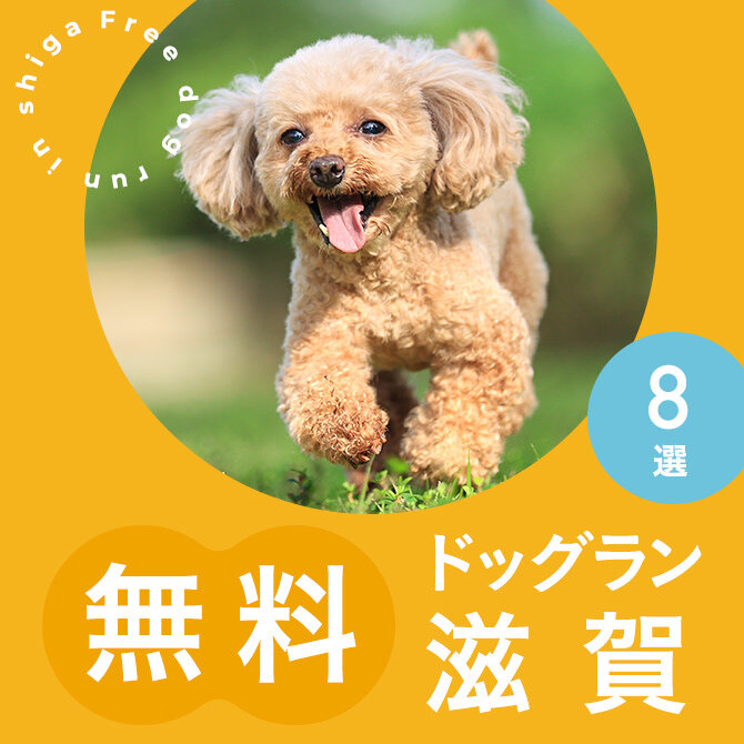 滋賀の無料ドッグランまとめ一覧