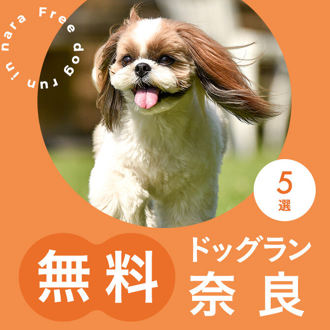 奈良の無料ドッグランまとめ一覧