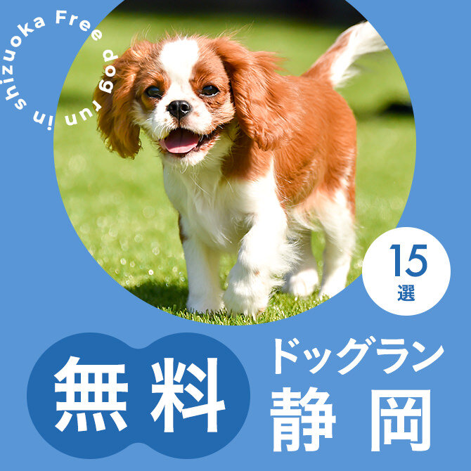 静岡の無料ドッグランまとめ一覧