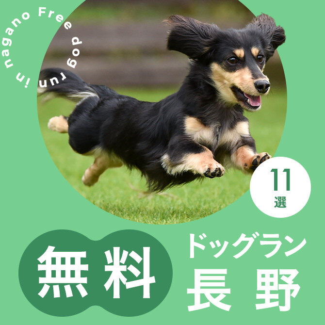 長野の無料ドッグランまとめ一覧