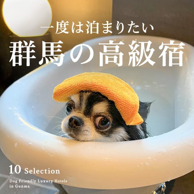群馬の犬と泊まれる高級宿｜高級温泉宿・ホテル一覧