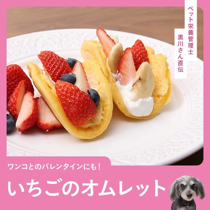【愛犬バレンタインスイーツ】バレンタインにパンケーキで作る「いちごのオムレット」