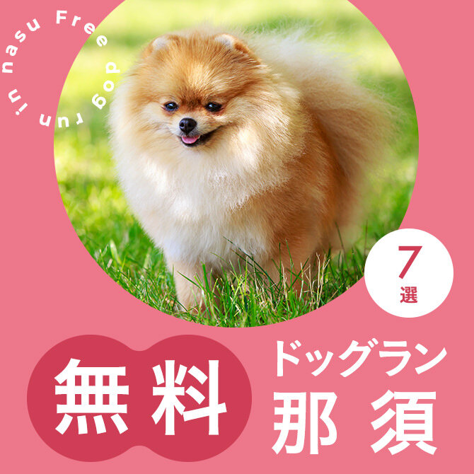 那須の無料ドッグランまとめ一覧