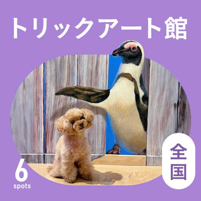 【犬連れOKなトリックアート館】全国の犬と行けるトリックアート館6選