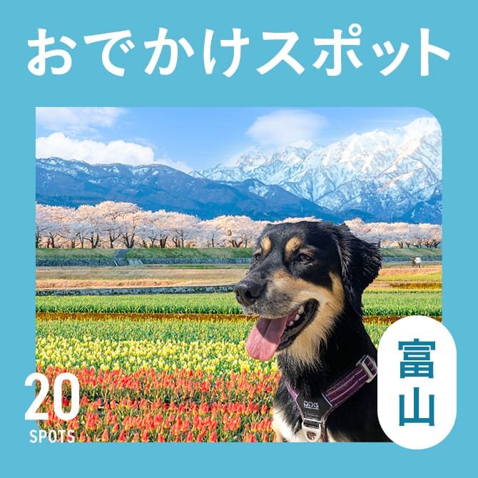 【富山の犬連れ観光スポット20選】富山の犬連れ観光＆ドッグカフェランチ
