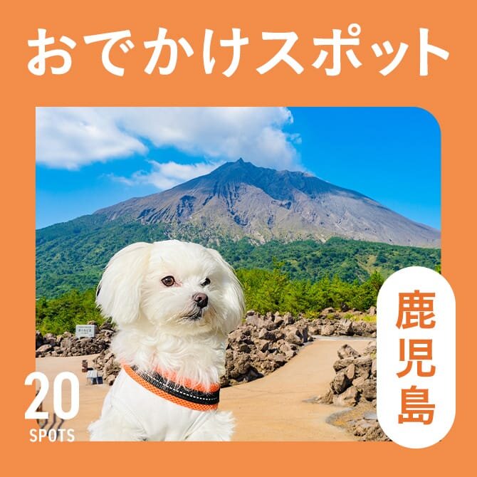 【鹿児島の犬連れ観光スポット20選】犬といけるおでかけスポット＆ランチ・ドッグカフェ