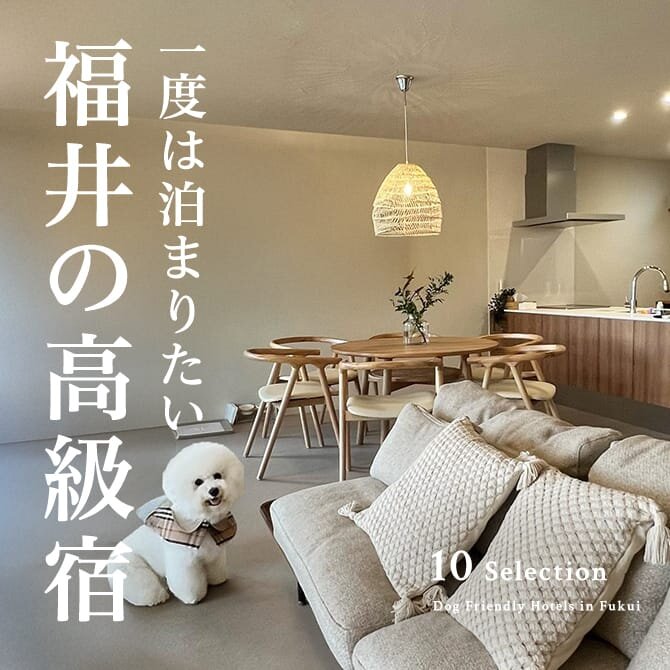 福井の犬と泊まれる高級宿｜高級温泉宿・ホテル一覧