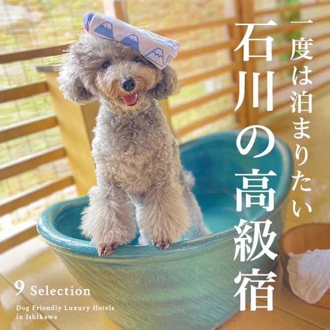 石川の犬と泊まれる高級宿｜高級温泉宿・ホテル一覧
