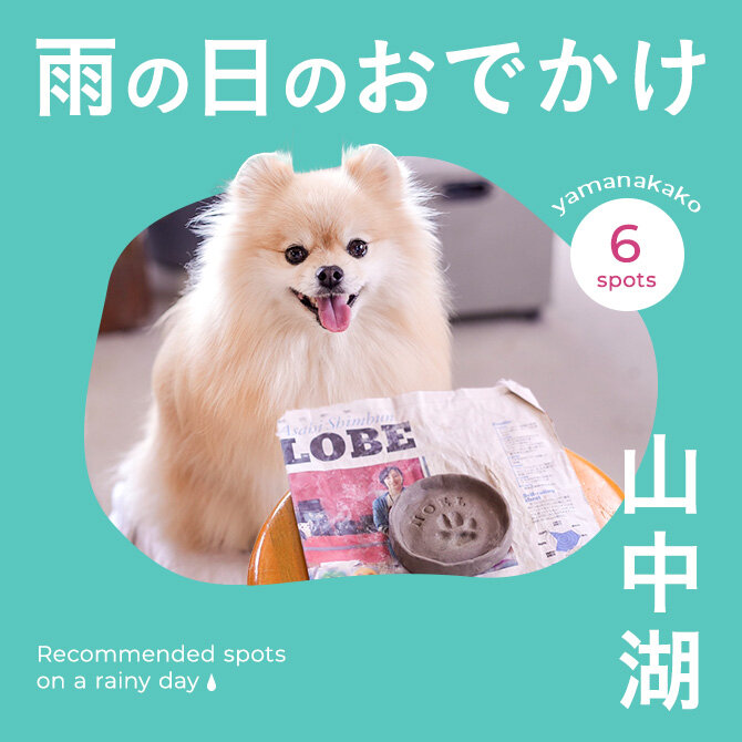 【山中湖お出かけスポット】雨の日でも楽しめる愛犬と行ける室内施設
