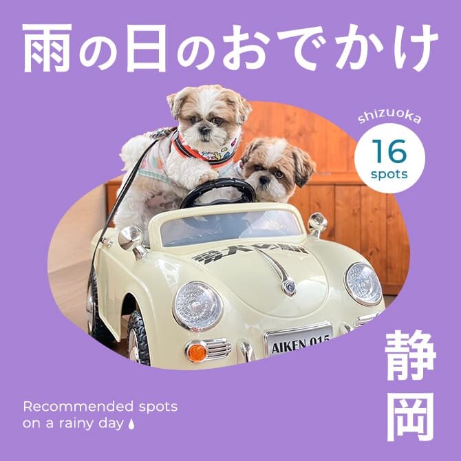 【静岡お出かけスポット】雨の日でも楽しめる愛犬と行ける室内施設