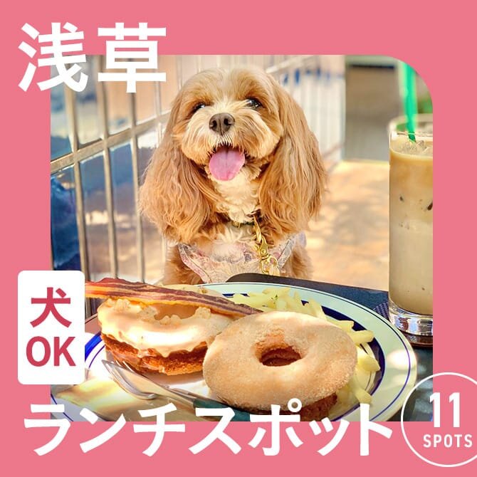 【浅草の犬連れでランチができるカフェ11選】ペット可・店内犬同伴OKカフェ一覧