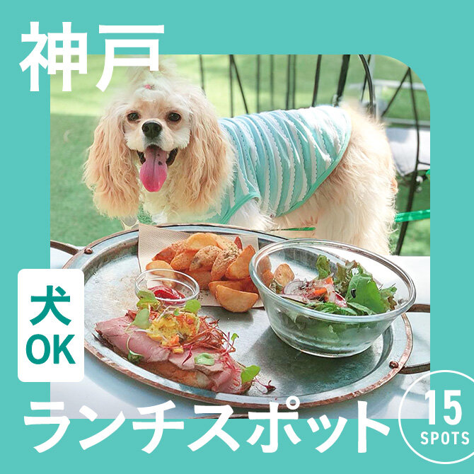 【神戸の犬連れでランチができるカフェ15選】ペット可・店内犬同伴OKカフェまとめ