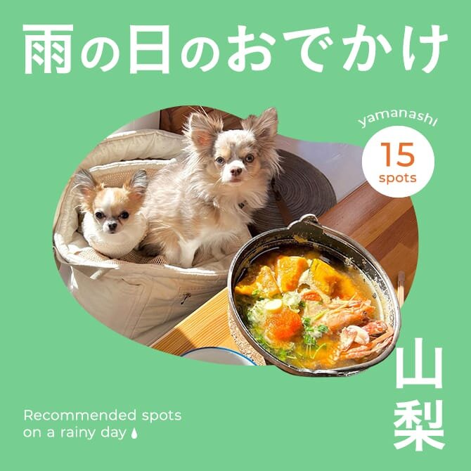 【山梨お出かけスポット】雨の日でも楽しめる愛犬と行ける室内施設