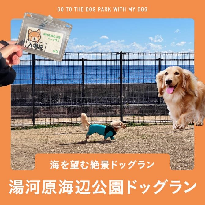 【湯河原海辺公園ドッグラン】海を望む絶景ドッグラン