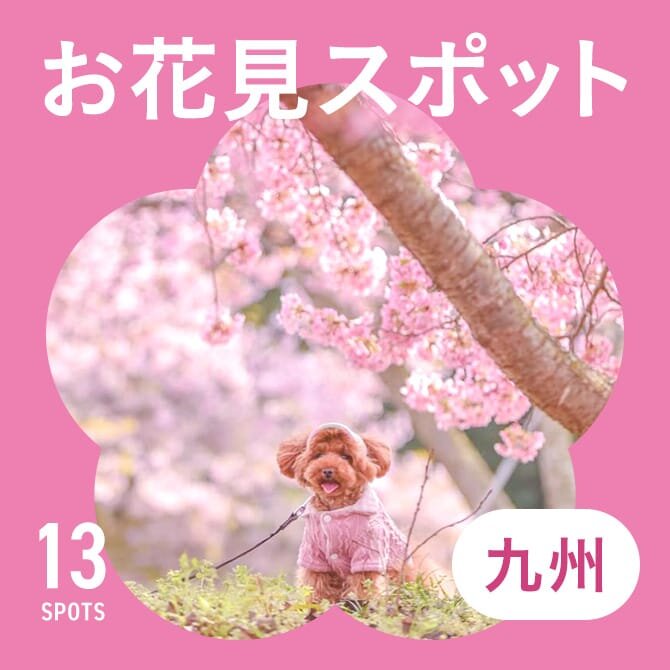 【九州のお花見スポット13選】犬と行ける桜の名所