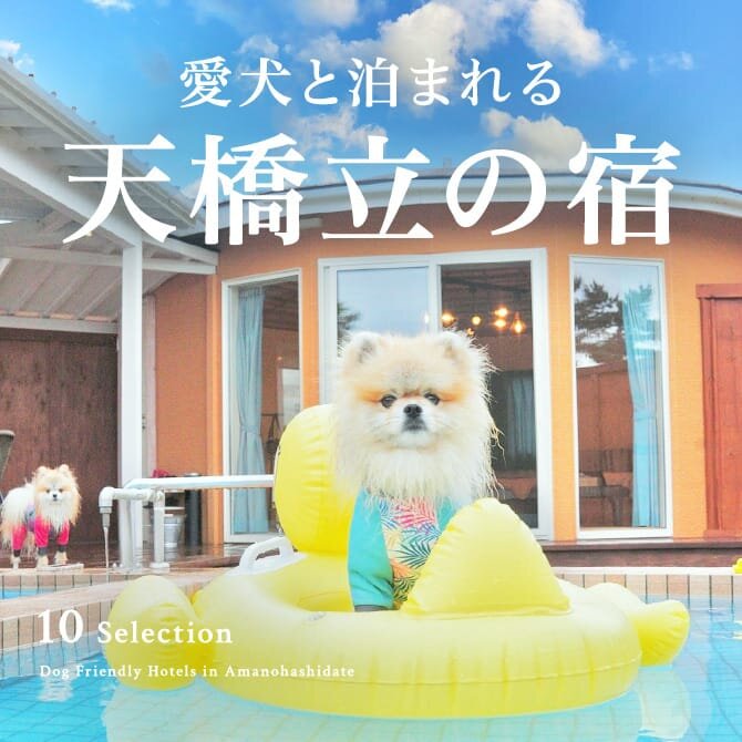 天橋立のペットと泊まれる宿｜ホテル・コテージ・温泉宿一覧