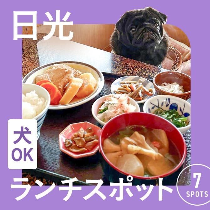【日光でランチに使えるお店】犬連れOKのカフェ・レストランまとめ