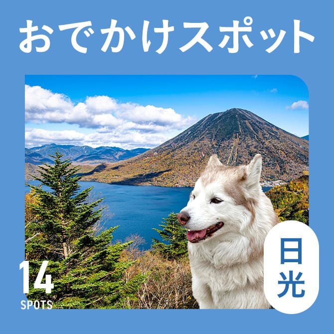 【日光の犬連れ観光スポット14選】犬といけるおでかけ＆犬連れランチ・カフェ