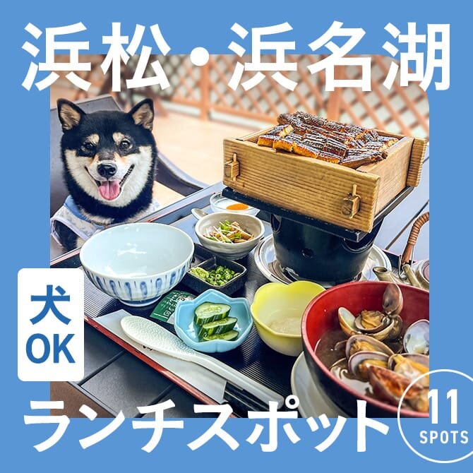 【浜松・浜名湖の犬連れでランチができるカフェ11選】ペット可・店内犬同伴OKカフェ一覧