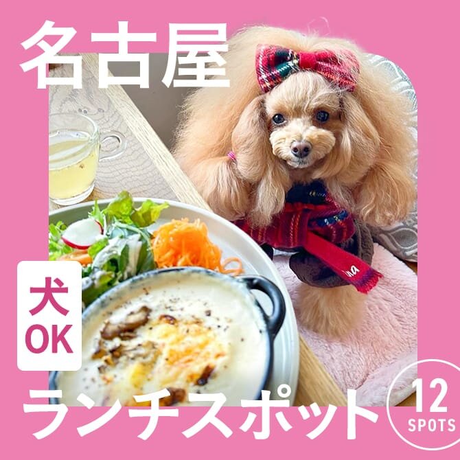 【名古屋でランチに使えるお店】店内犬連れOKのカフェ・レストランまとめ
