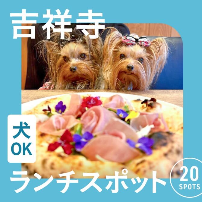【吉祥寺の犬連れでランチOKカフェ20選】ペット可・店内犬同伴OKのドッグカフェ一覧