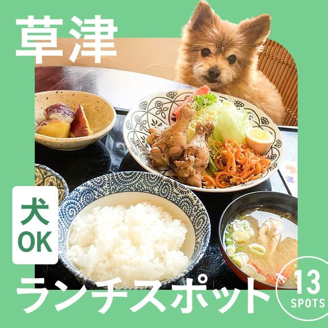 【草津でランチに使えるお店】犬連れOKのカフェ・レストランまとめ
