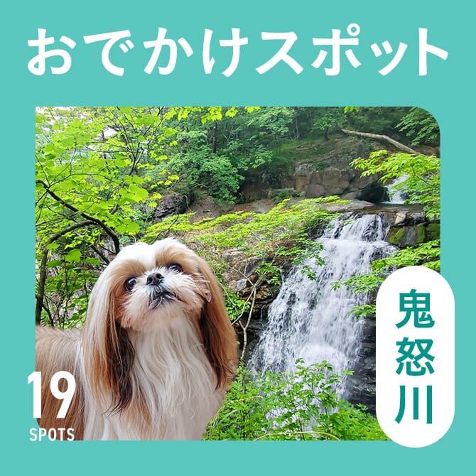 【鬼怒川の犬連れ観光スポット19選】犬といけるおでかけ＆犬連れランチ・カフェ