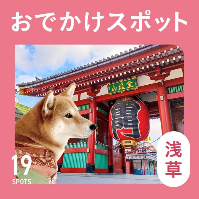 【浅草の犬連れ観光スポット19選】犬といける浅草のおでかけ観光スポット