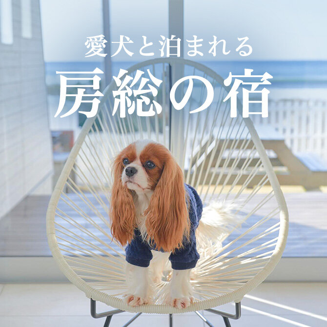 南房総のペットと泊まれる宿｜2026年最新宿一覧