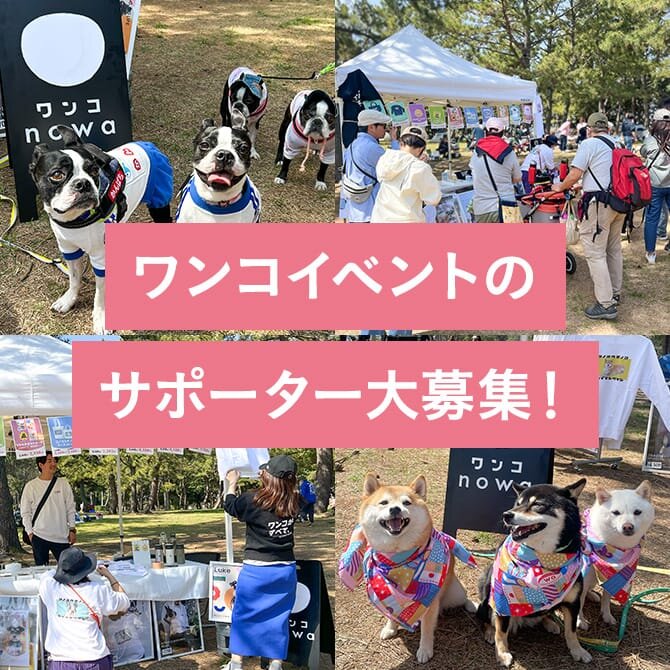 ワンコnowaのイベントをお手伝いいただけるサポーターさんを募集します！