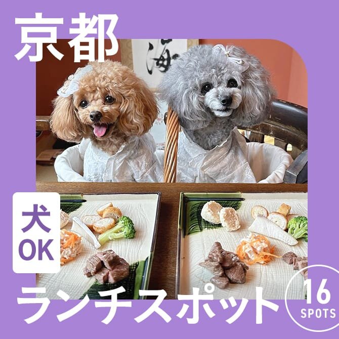 【京都の犬連れでランチができるカフェ16選】ペット可・店内犬同伴OKカフェ一覧