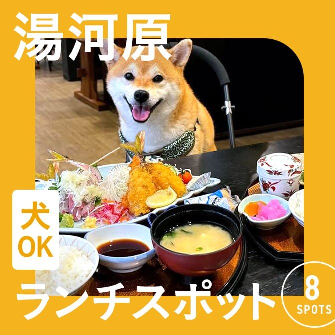 【湯河原でランチに使えるお店】犬連れOKのカフェ・レストランまとめ