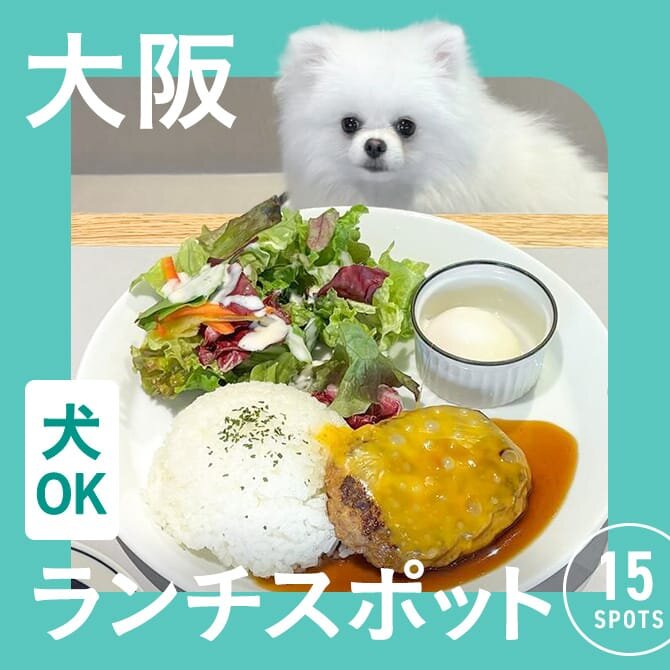【大阪でランチに使えるお店】店内犬連れOKのカフェ・レストランまとめ
