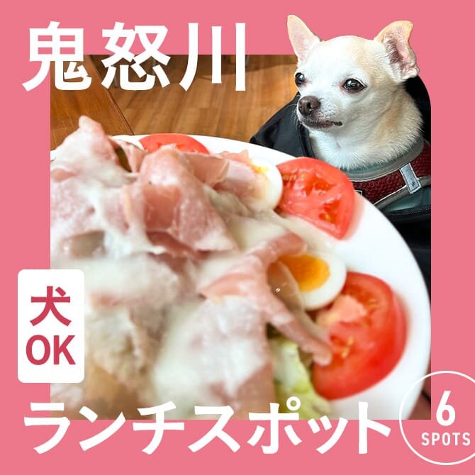 【鬼怒川でランチに使えるお店】犬連れOKのカフェ・レストランまとめ